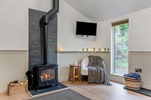A modern living room with a wood-burning stove, a mounted TV, a window with a view, and a small table with a chair.