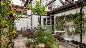 Un jardin agrémenté d’un patio, comprenant un abreuvoir pour oiseaux, des plantes en pot et du mobilier d’extérieur.