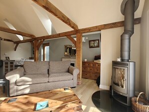 Télévision, cheminée