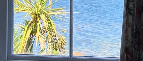 Une fenêtre donnant sur la mer et les palmiers.