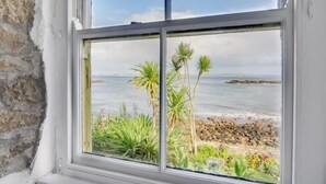 A window with a view of a rocky beach and palm trees.