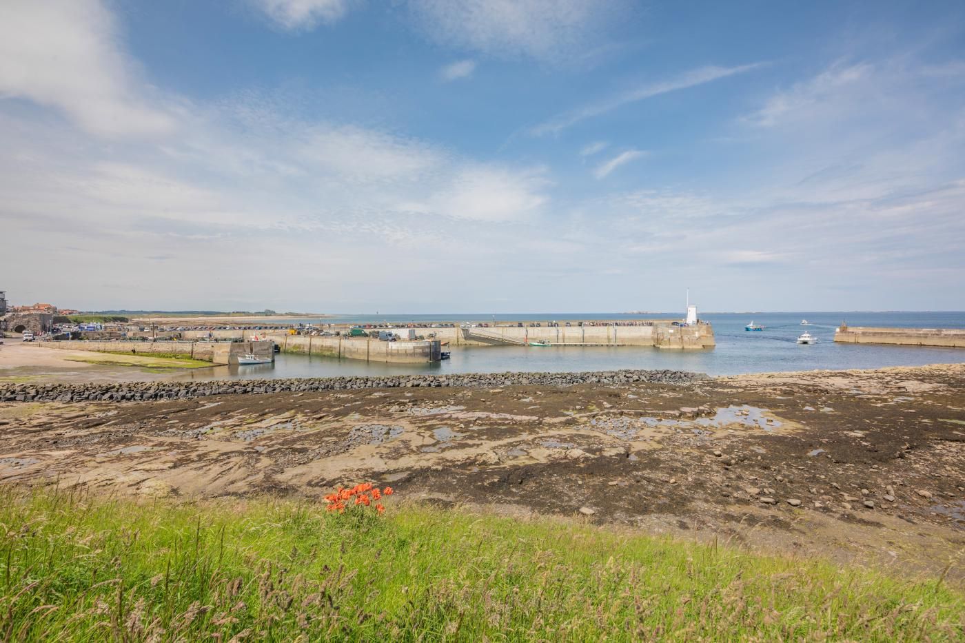 A coastal landscape with a pier extending into the water, a lighthouse, and a rocky shoreline.