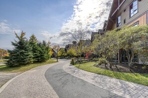 A paved pathway leading to a building with a brick facade and multiple windows.