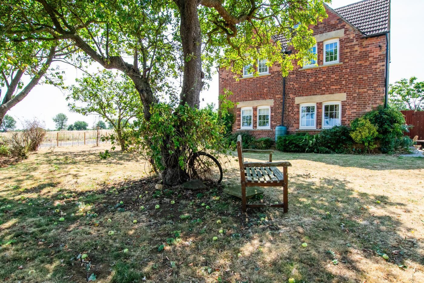 A backyard with a wooden bench, a large tree, and a brick house.