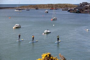 A coastal area with multiple boats and people paddleboarding. - 3 Bed in Barmouth (oc-wah701) (Barmouth)