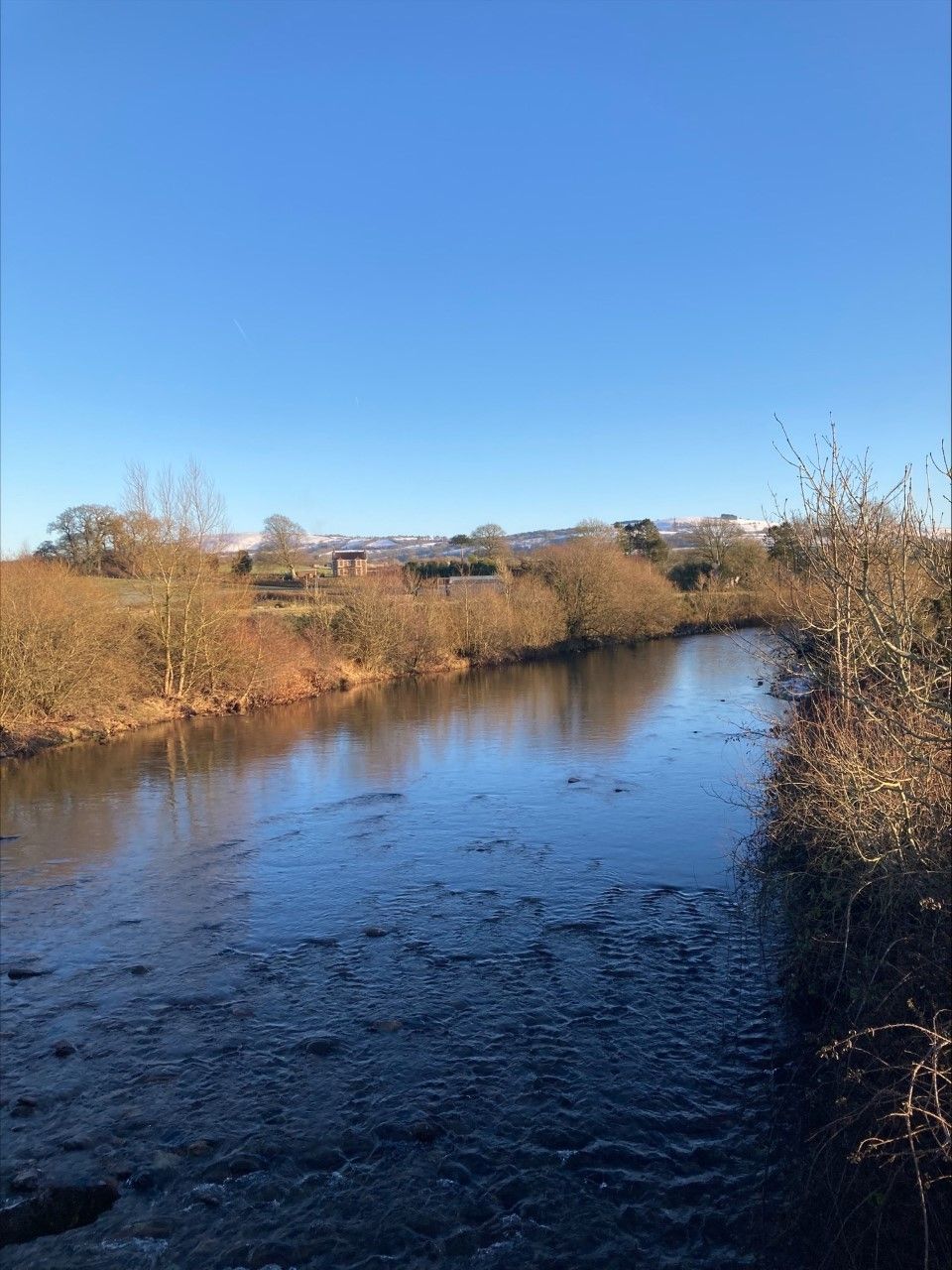 Ein ruhiger Fluss mit umgebender Vegetation und Gebäuden in der Ferne.