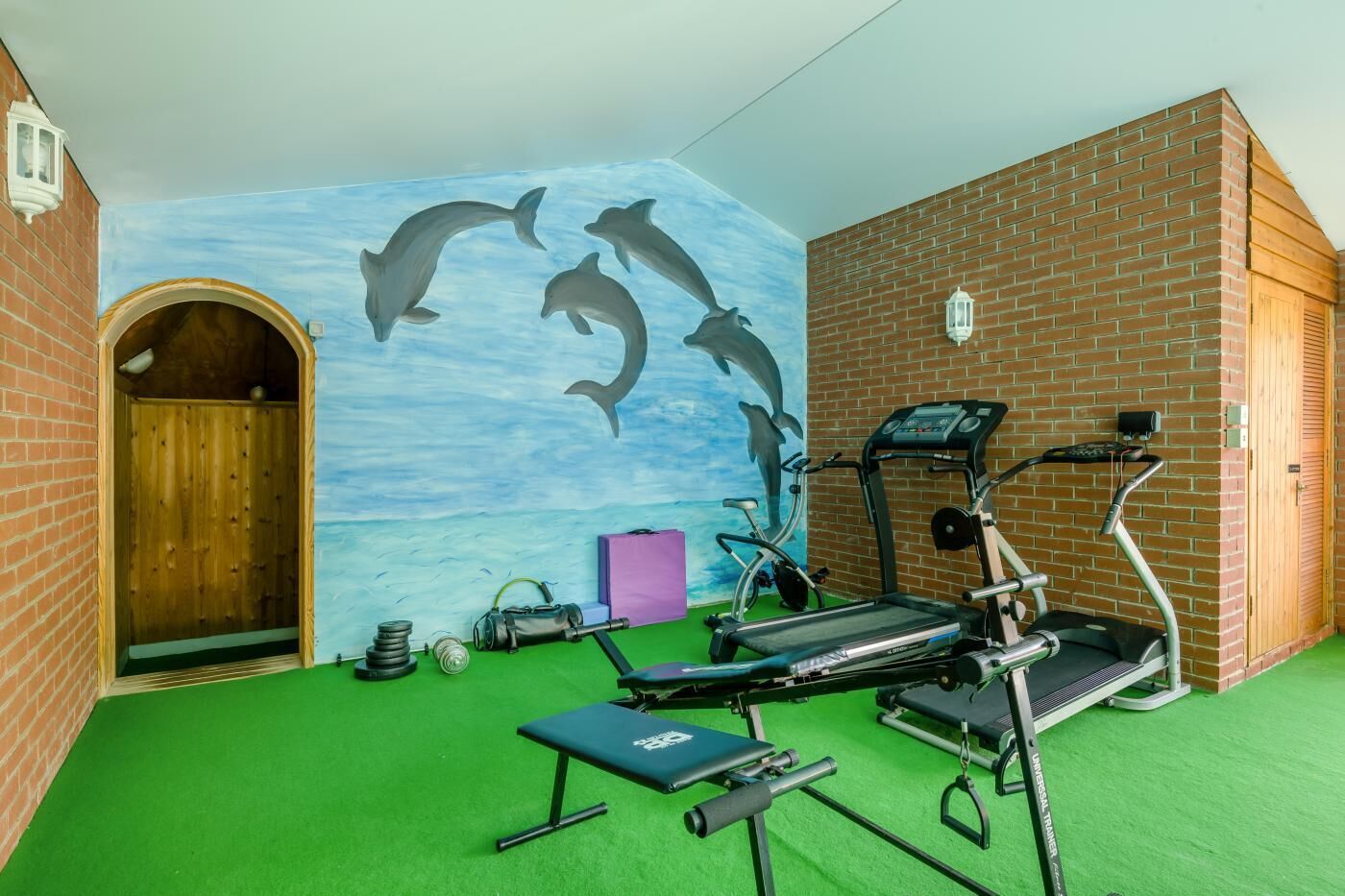 Een sportschool met trainingsapparatuur, een muurschildering van dolfijnen en een groen tapijt.
