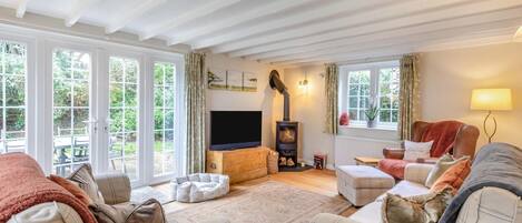TV, fireplace