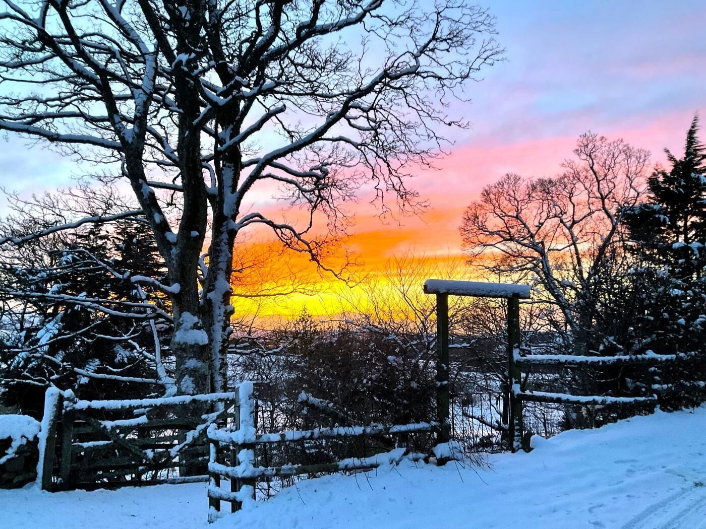 Áreas de la propiedad