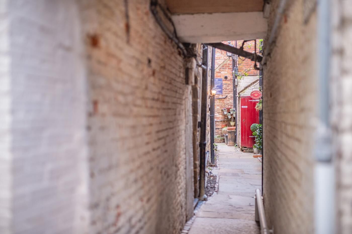 A narrow alleyway with brick walls, a red door, and potted plants.