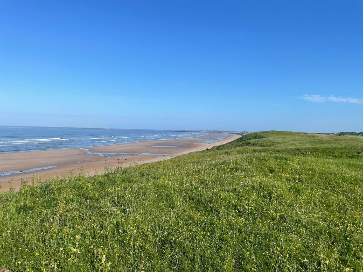 Een kustlandschap met een grasveld op de voorgrond en een zandstrand.