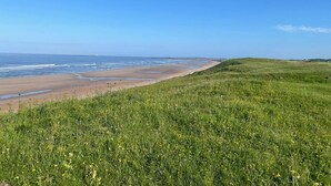 A coastal landscape with a grassy foreground and a beach.