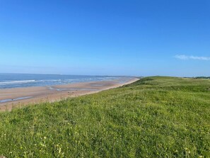 A coastal landscape with a grassy foreground and a beach.