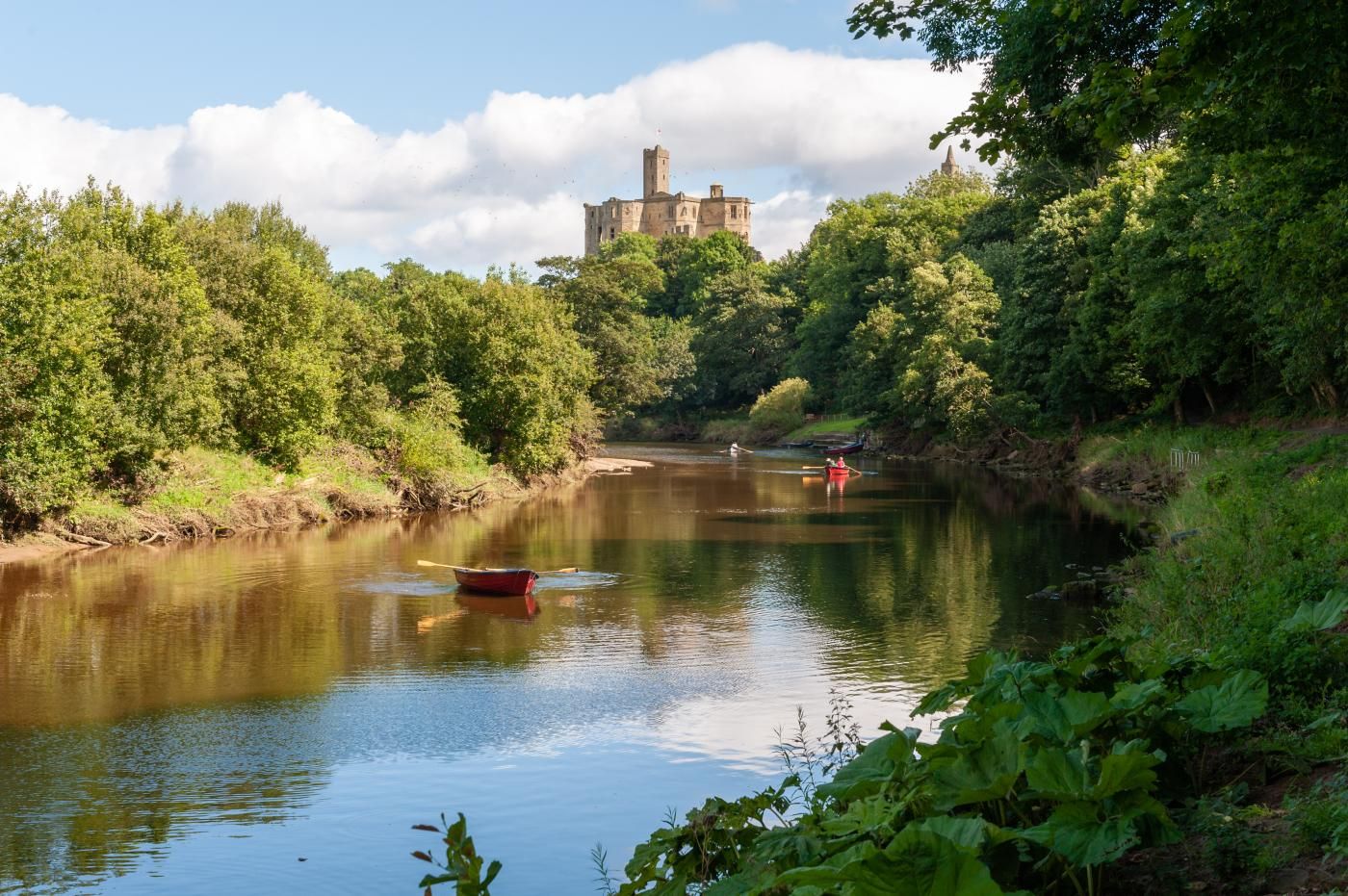 A calm river with a castle in the background, surrounded by dense greenery.