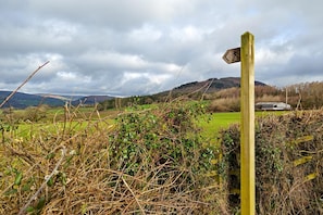 Un paysage rural avec un panneau indicateur en bois, une haie et un bâtiment situé au loin.