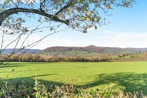 Ländliche Landschaft mit einer Wiese, einem Baumast im Vordergrund und einer Hügelkette mit verstreuten Gebäuden in der Ferne.