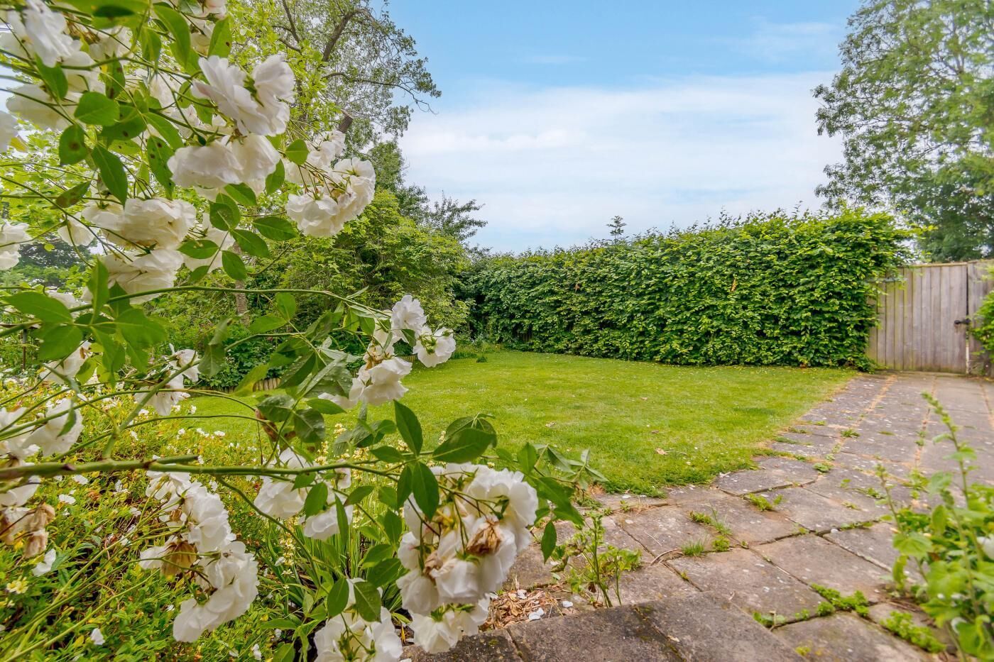 A garden with a stone pathway, a well-maintained lawn, and a dense hedge in the background.