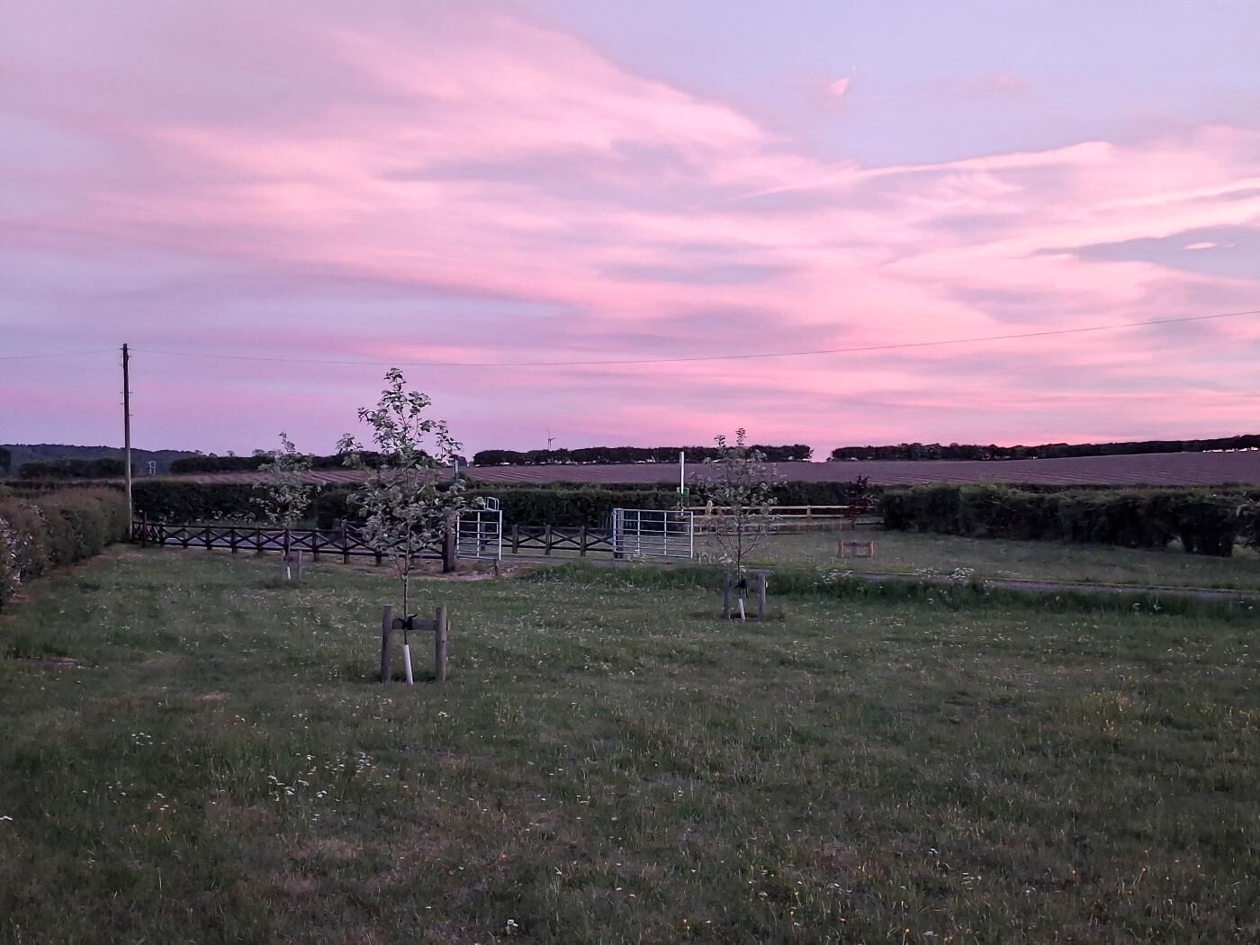 A rural landscape with fields, a fence, and a tree.