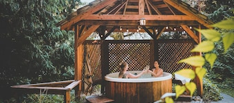 Summit Suite at Ashford Lodge - Hot Tub and Projector, near Mt. Rainier!
