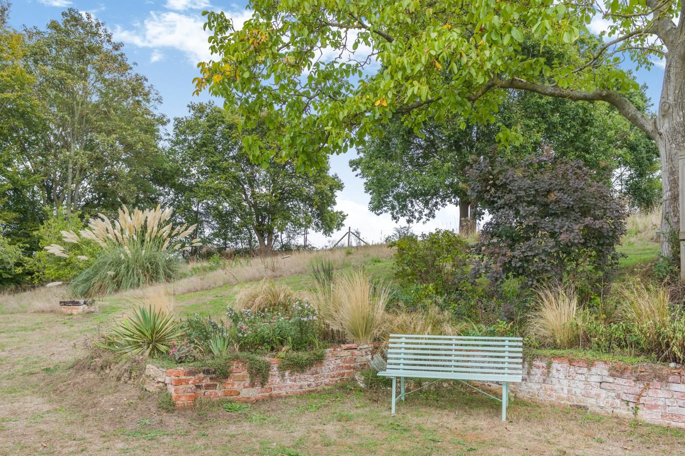 A park with a green bench, various plants, and trees.