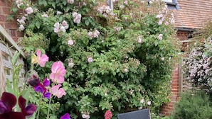 An outdoor seating area with wicker chairs and a concrete floor, surrounded by lush greenery and flowering plants. - 2 Bed in Orford (oc-sflpo) (Orford)