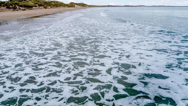 Une plage à l’eau claire et au rivage sablonneux.
