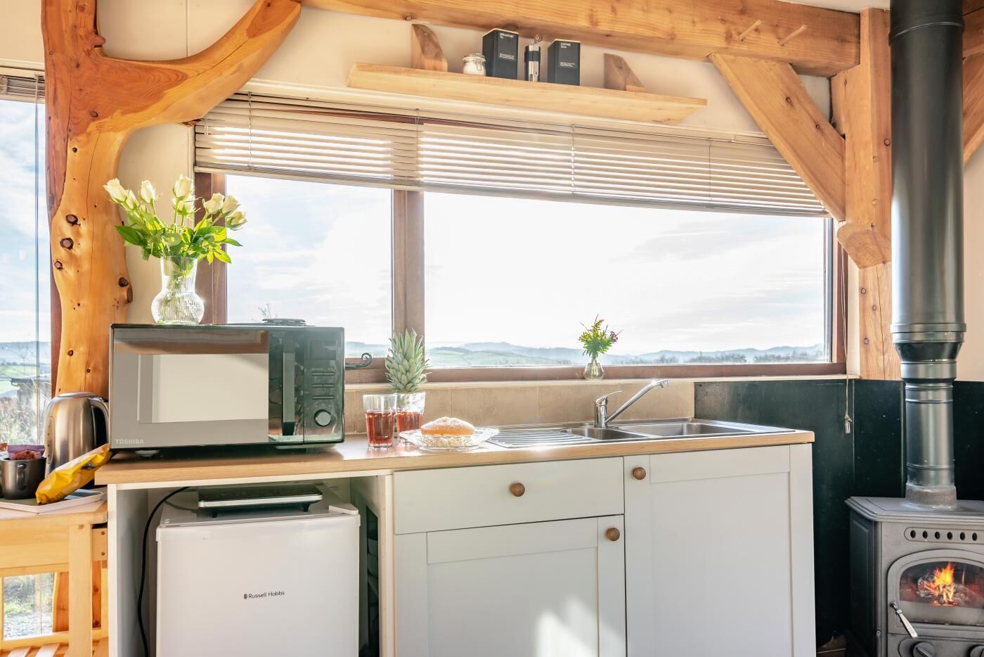 Microwave, oven, cookware/dishes/utensils