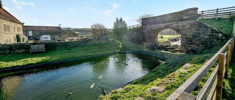 Un canal con patos, un puente de piedra y una valla de madera.