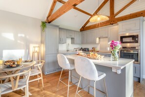 A modern kitchen with grey cabinets, a central island with bar stools, a dining area with a round table and chairs, and a hanging plant.