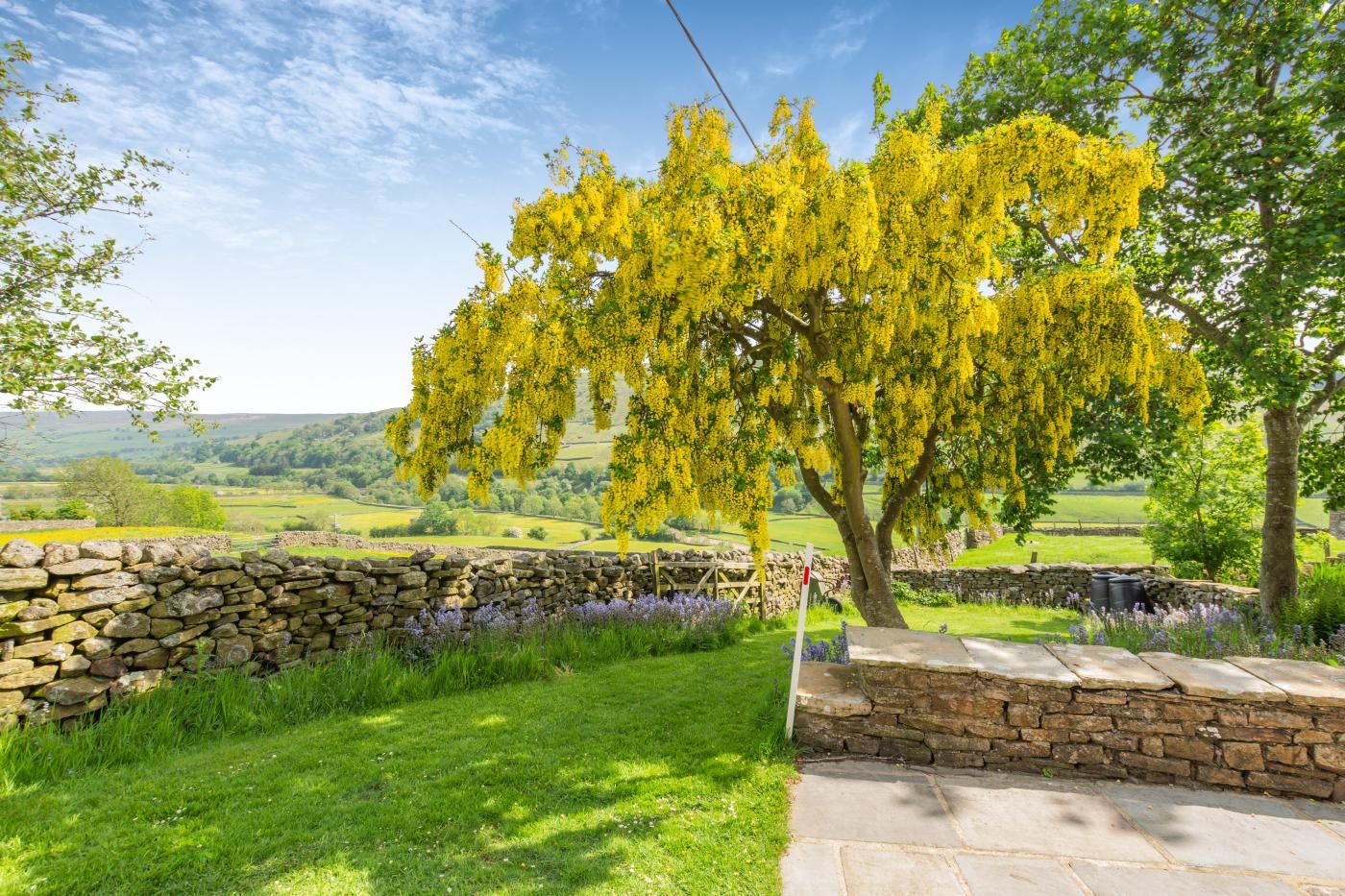 Mur de pedra amb un arbre al primer pla i un paisatge rural al fons.