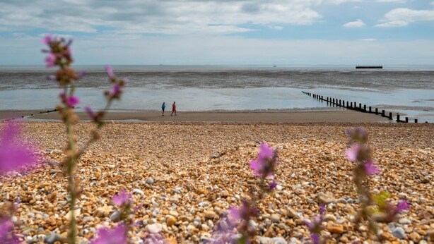 A pebbled beach with two people walking, a wooden jetty, and purple flowers in the foreground. - 3 Bed in Littlestone (oc-bt009) (Littlestone)