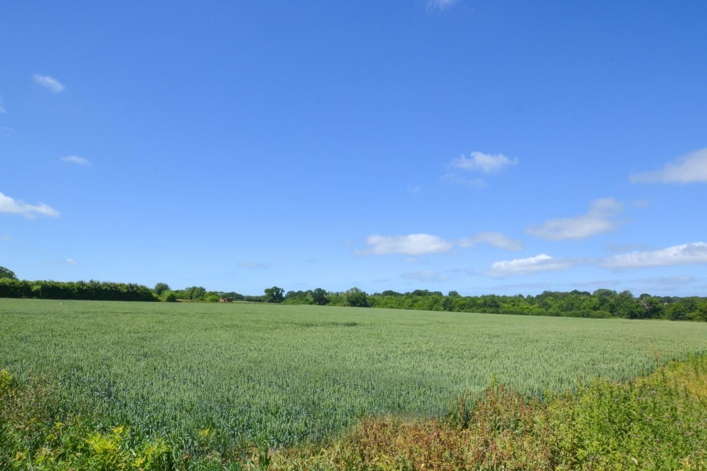 Un extenso campo con cielo despejado.