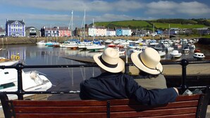 A person sitting on a bench overlooking a harbor with boats and colorful buildings in the background. - 3 Bed in Aberaeron (oc-bow315) (Bethania)