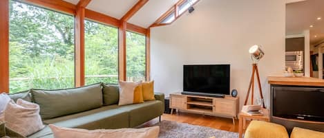 TV, fireplace