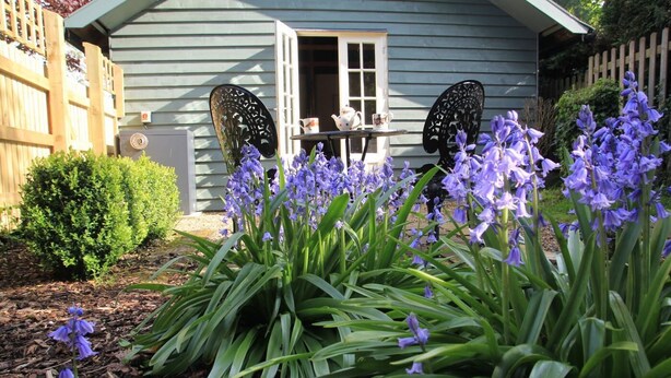 Un jardín con flores moradas frente a una casa con puerta blanca y una mesa con sillas.