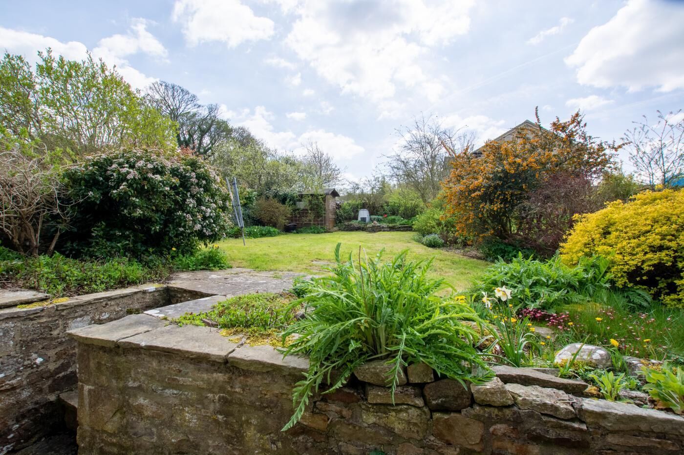 A garden with a stone wall, various plants, and a building in the background.