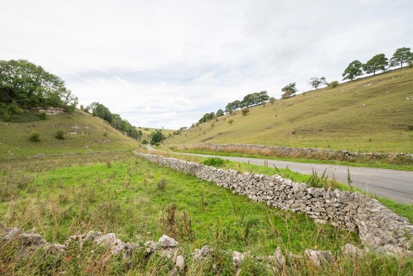 A rural road flanked by stone walls and grassy fields with scattered trees. - 4 Bed in Buxton (oc-dcoldd) (Hartington)