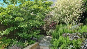 Ein Garten mit verschiedenen Pflanzen und einem Holzzaun.