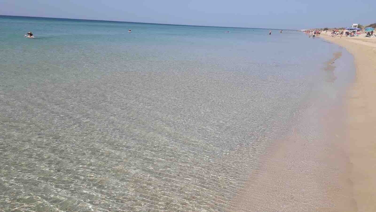 Playa en los alrededores 