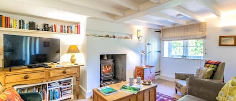 A cozy living room with a fireplace, bookshelves, a television, and a sofa.