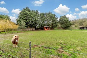 Property grounds - 2 Bed in Chedgrave (oc-t27197) (Chedgrave)