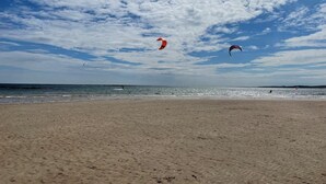 Una playa con cometas volando en el cielo.