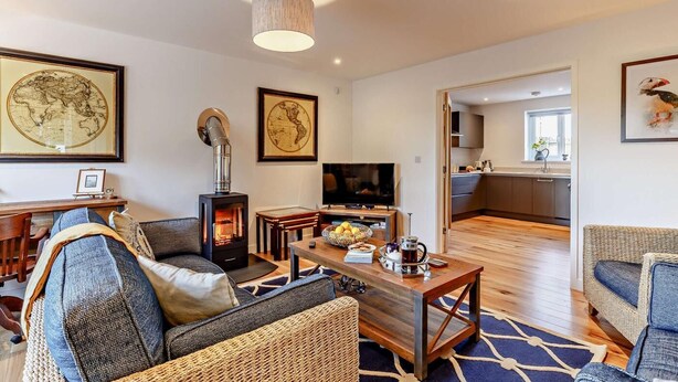 TV, fireplace - 3 Bed in St. Austell (oc-t27271) (London Apprentice)