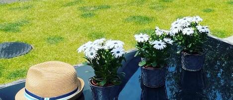 A glass table with potted plants and a straw hat.