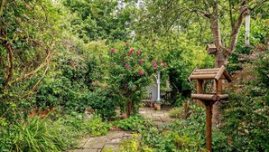 A garden pathway with stone paving, surrounded by lush greenery and flowering plants. - 1 Bed in Yoxford (oc-c27254) (Wickham Market)