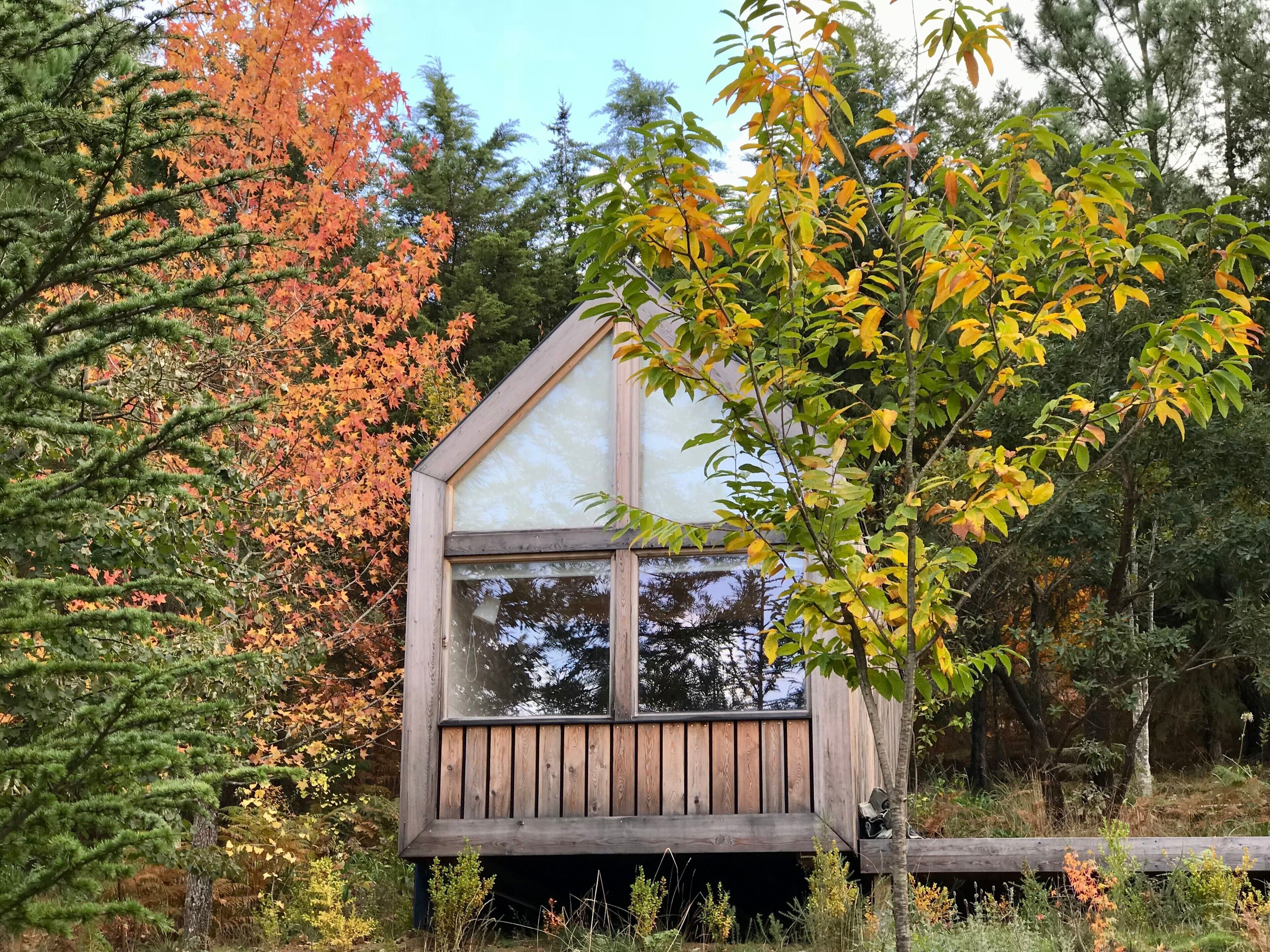 Una cabaña con terraza de madera y ventanas amplias, rodeada de follaje otoñal.