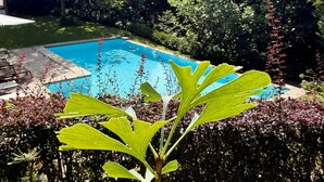 Une piscine entourée d’une végétation luxuriante et d’arbres.