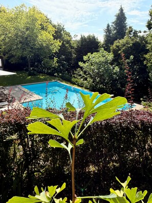 A swimming pool surrounded by lush greenery and trees.