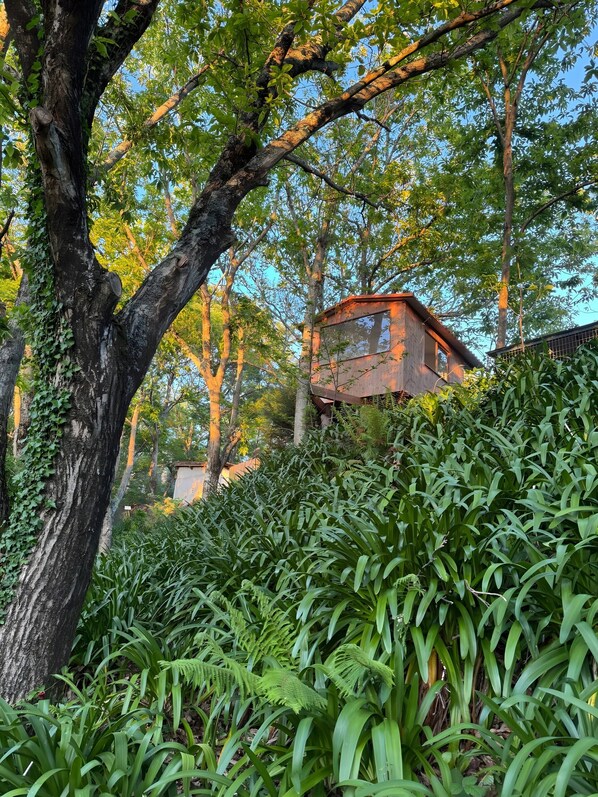 المنطقة المحيطة بالمنشأة