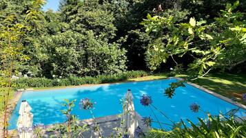 A swimming pool surrounded by lush greenery and a white umbrella.